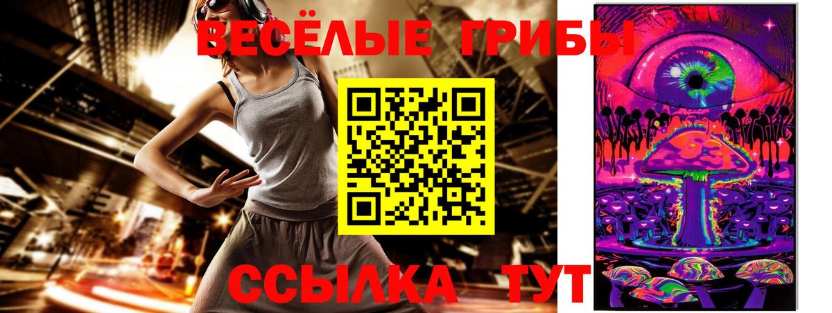 Касимов  где купить   Вход с VPN  Псилоцибиновые грибы MAGIC MUSHROOMS 